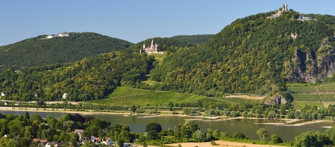 Ausblick auf den Rheintal