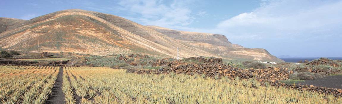 Mietwagen auf Lanzarote - Foto 3