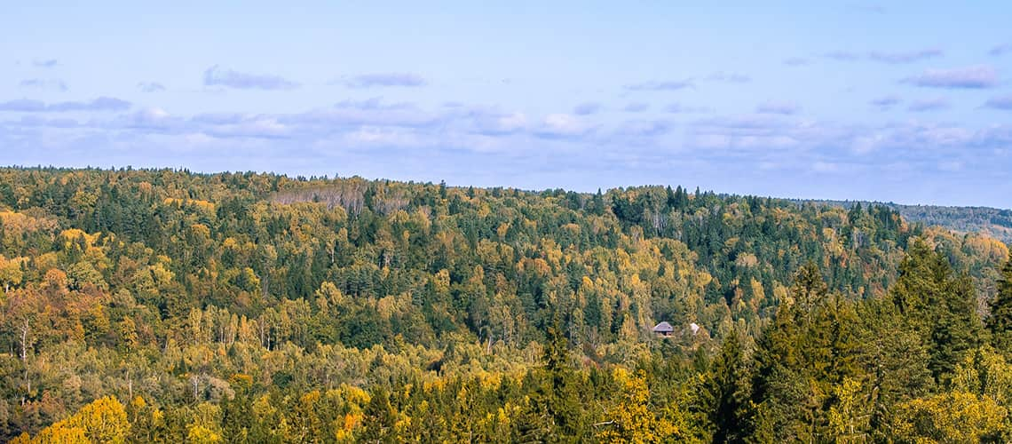 Nationalpark Gauja