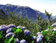 Madeira