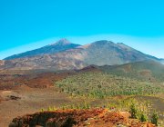 Tenerife