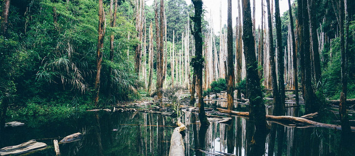 Everglades-Nationalpark