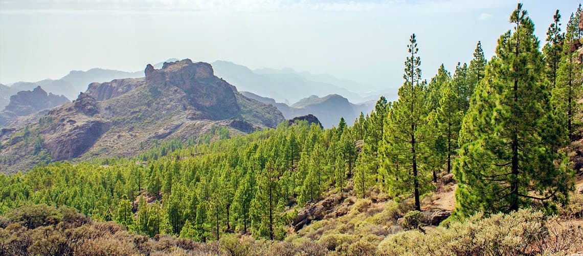 Traumhafte Landschaft von Gran Canaria