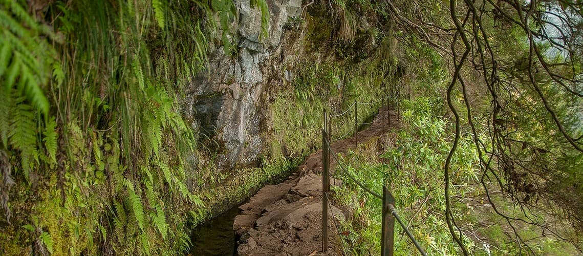 Levada in Madeira