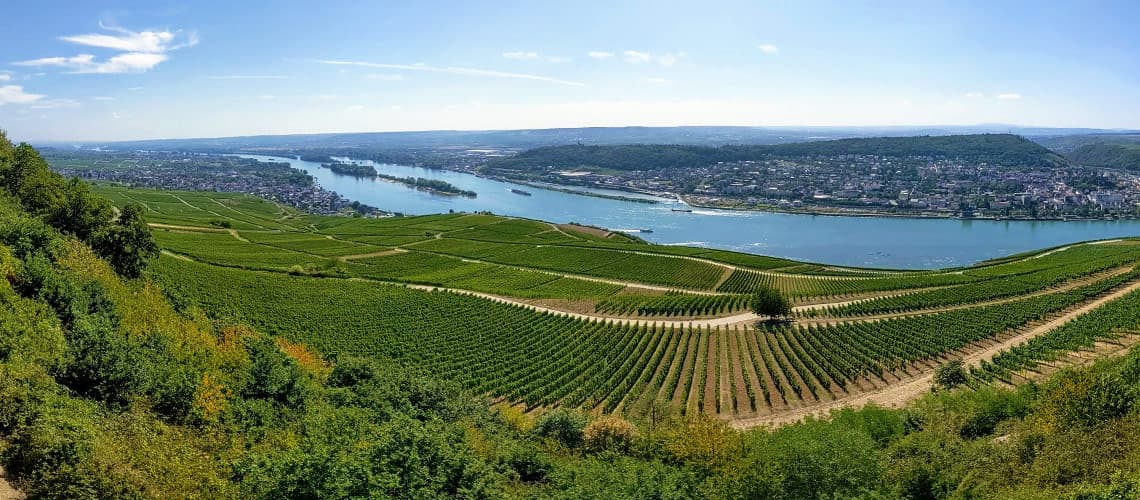 Blick vom Niederwalddenkmal auf Rüdesheim